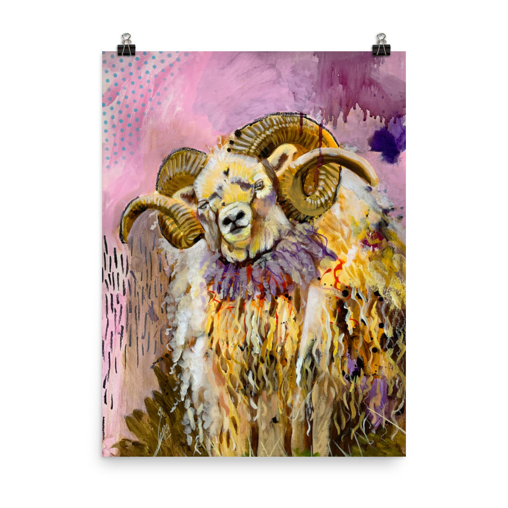 Icelandic Sheep Print