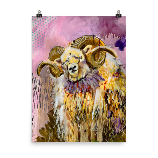 Icelandic Sheep Print